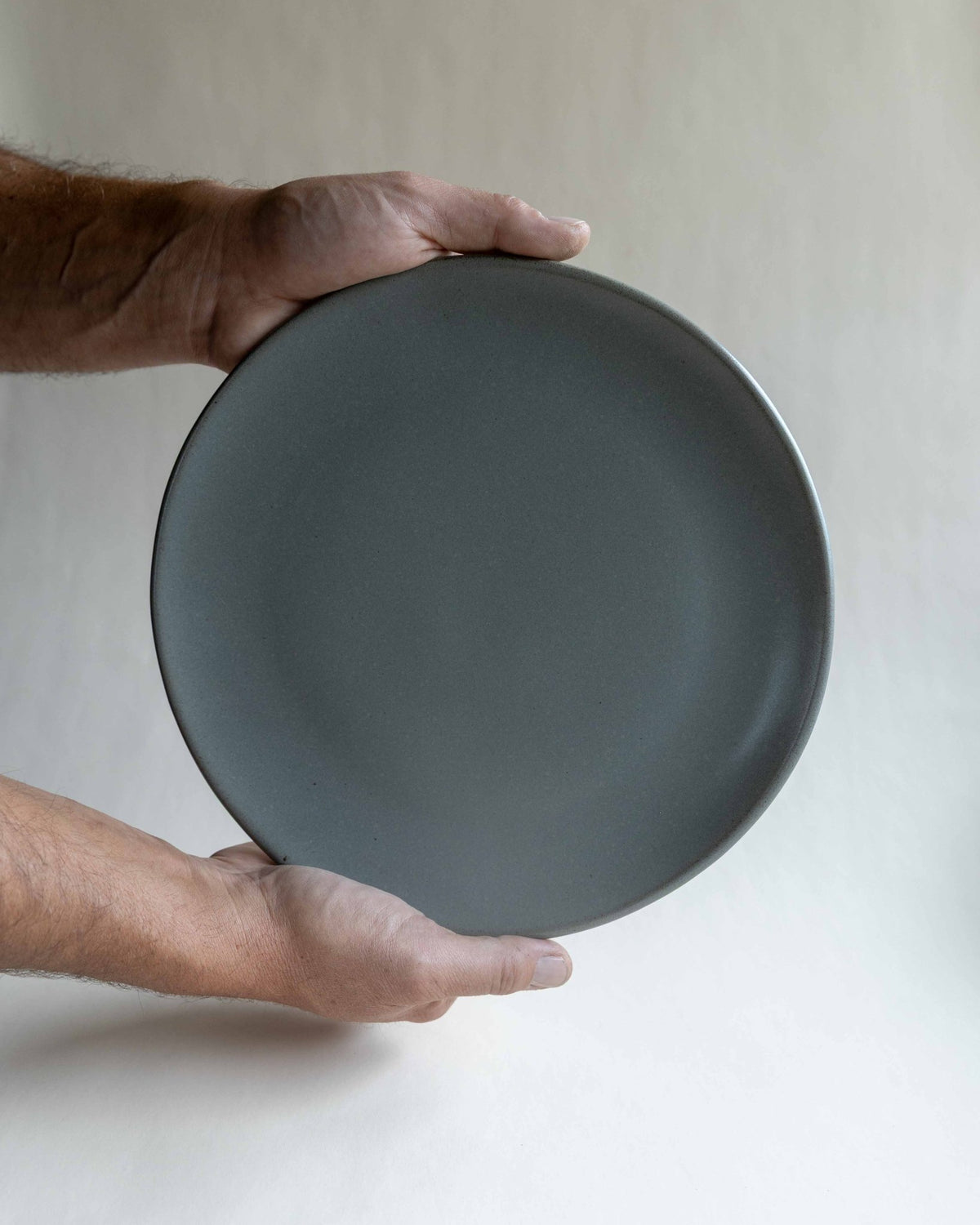 Dinner Plate - Deep Woods Pottery