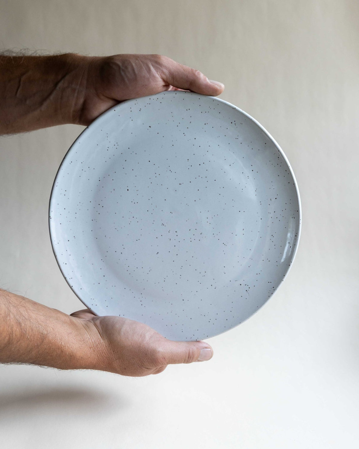 Dinner Plate - Deep Woods Pottery