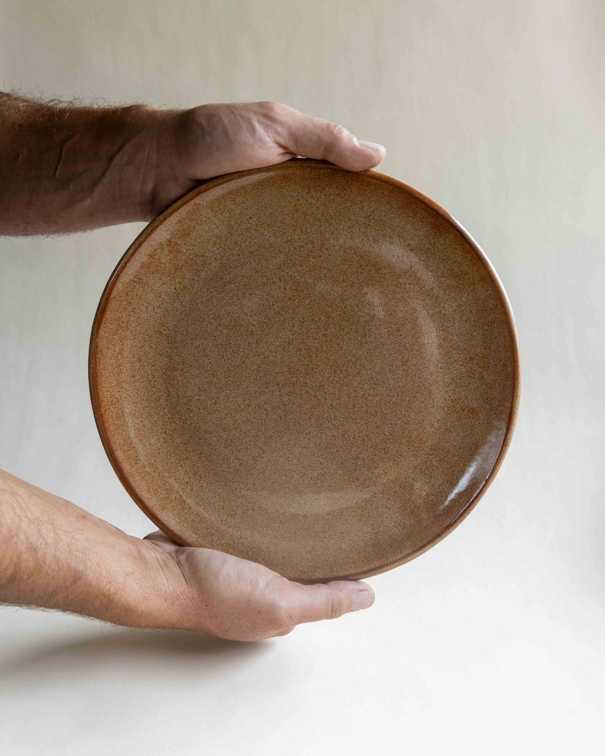 Dinner Plate - Deep Woods Pottery