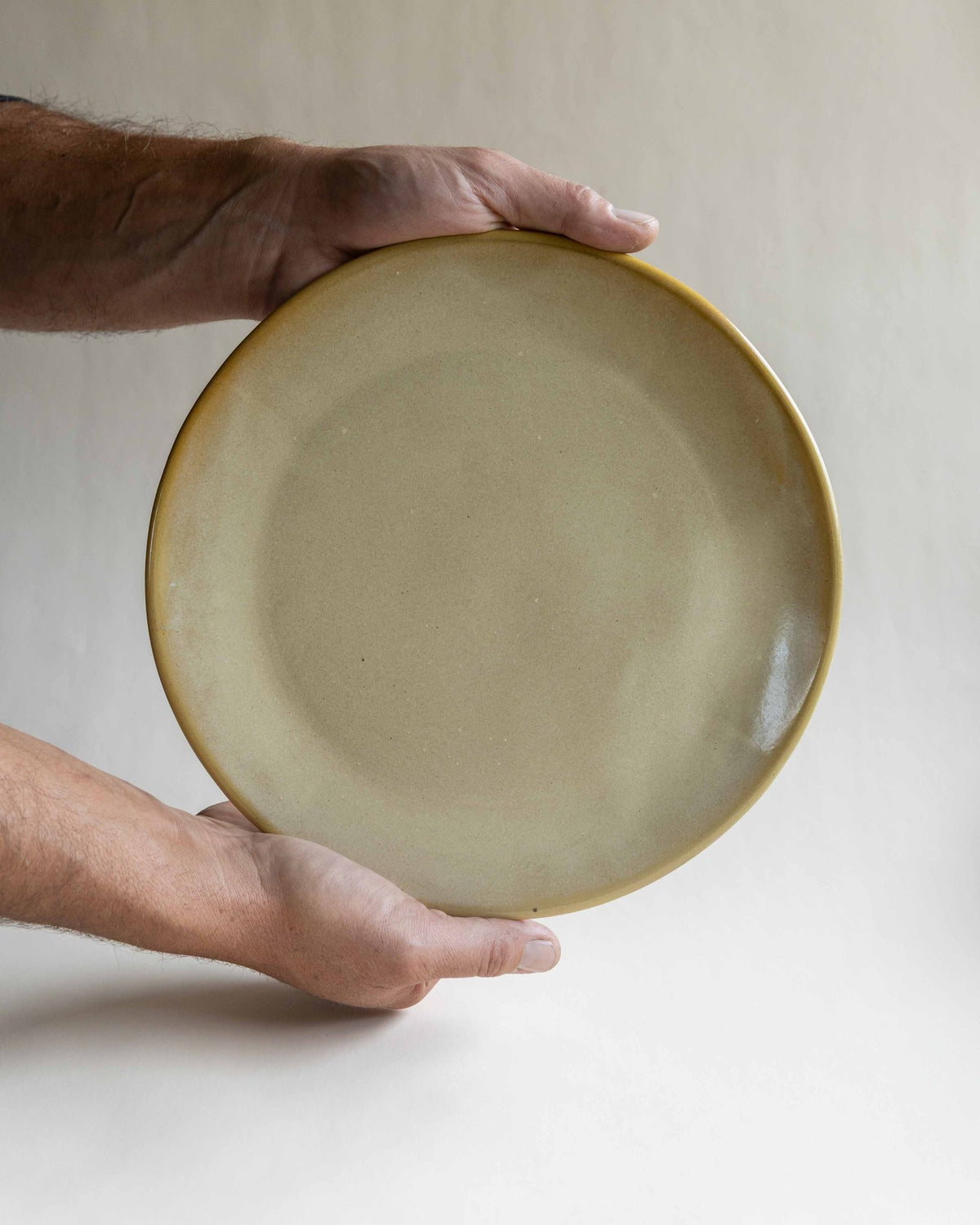 Dinner Plate - Deep Woods Pottery