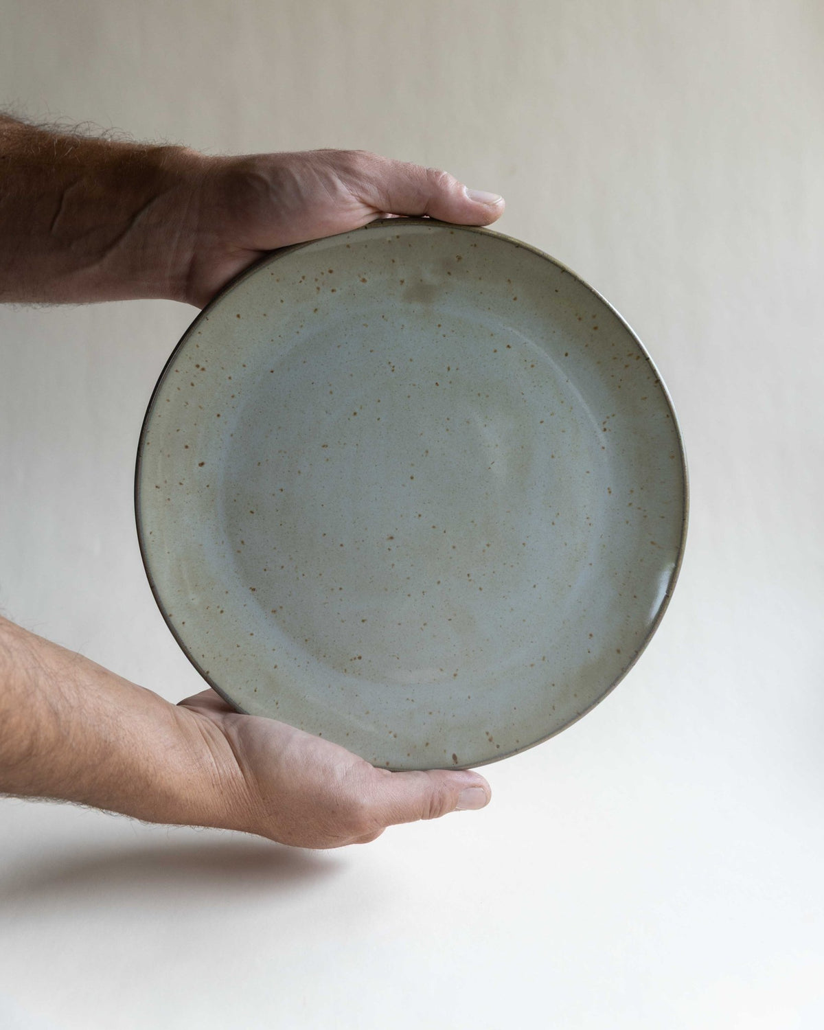 Dinner Plate - Deep Woods Pottery