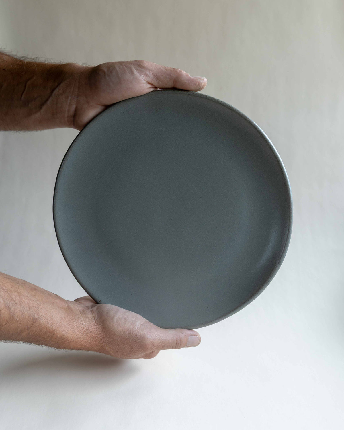 Dinner Plate